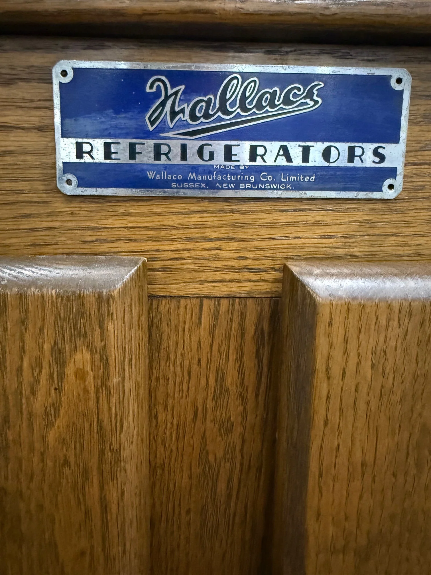 Storage Pantry in style of Antique Fridge - Image 4