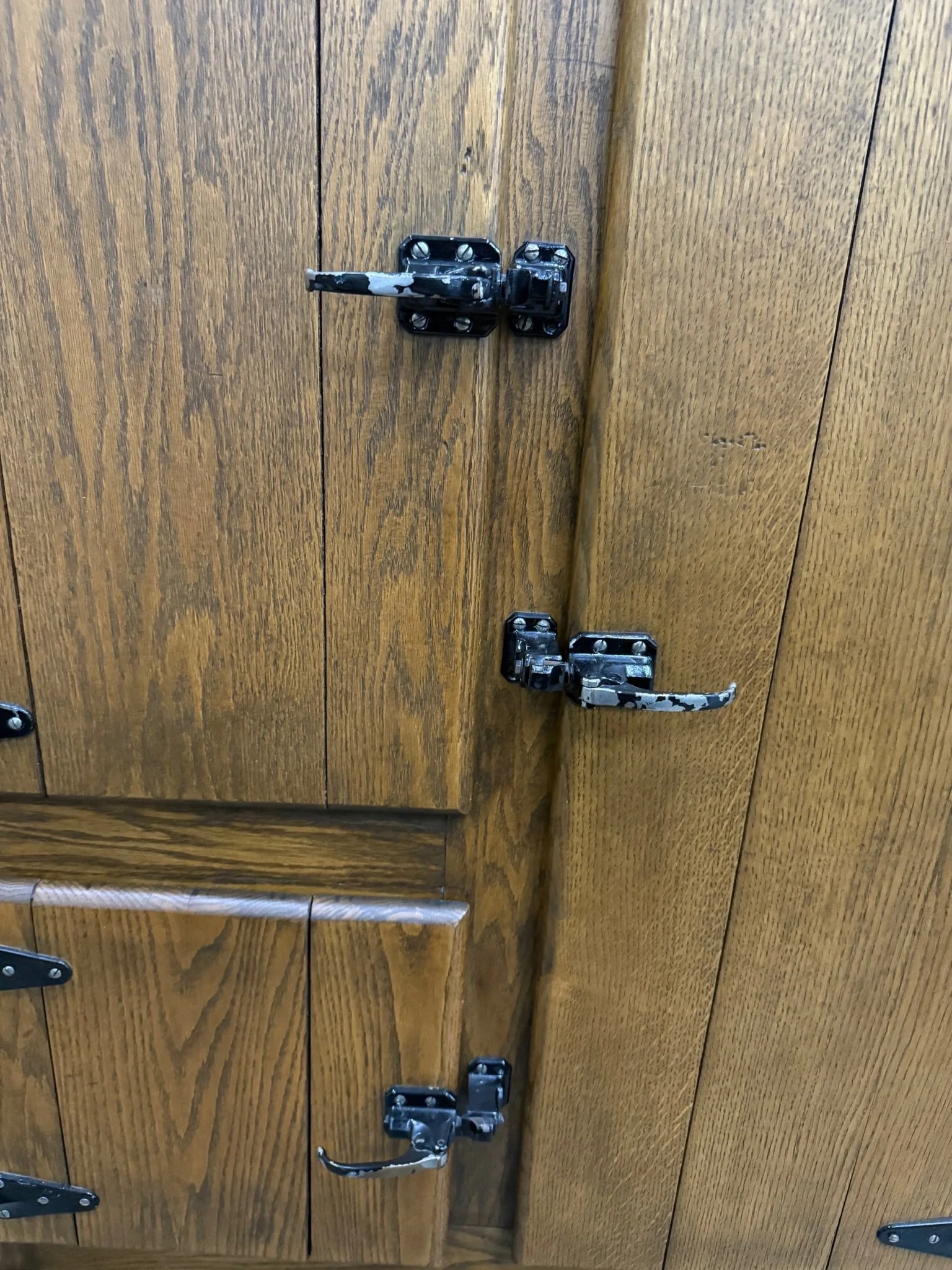 Storage Pantry in style of Antique Fridge - Image 5