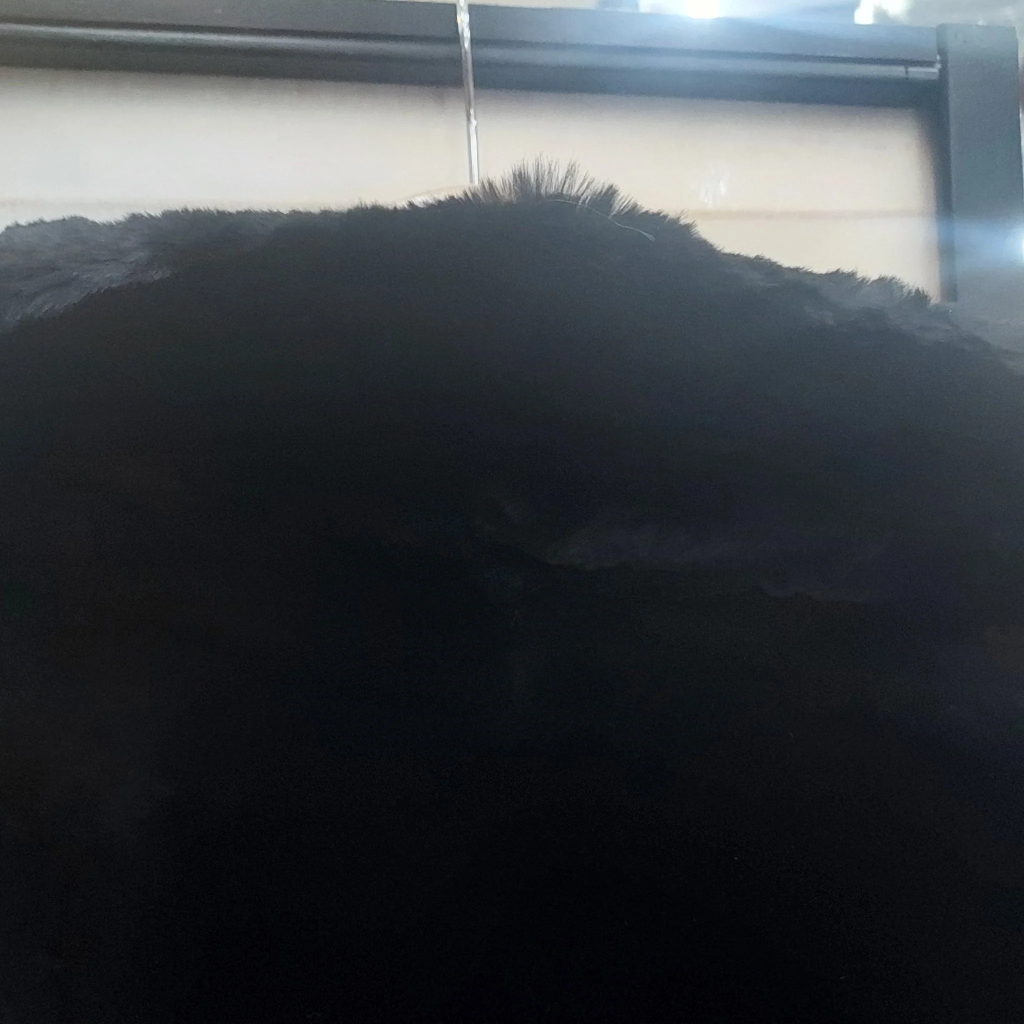 Vintage Black Fur Coat - Image 15