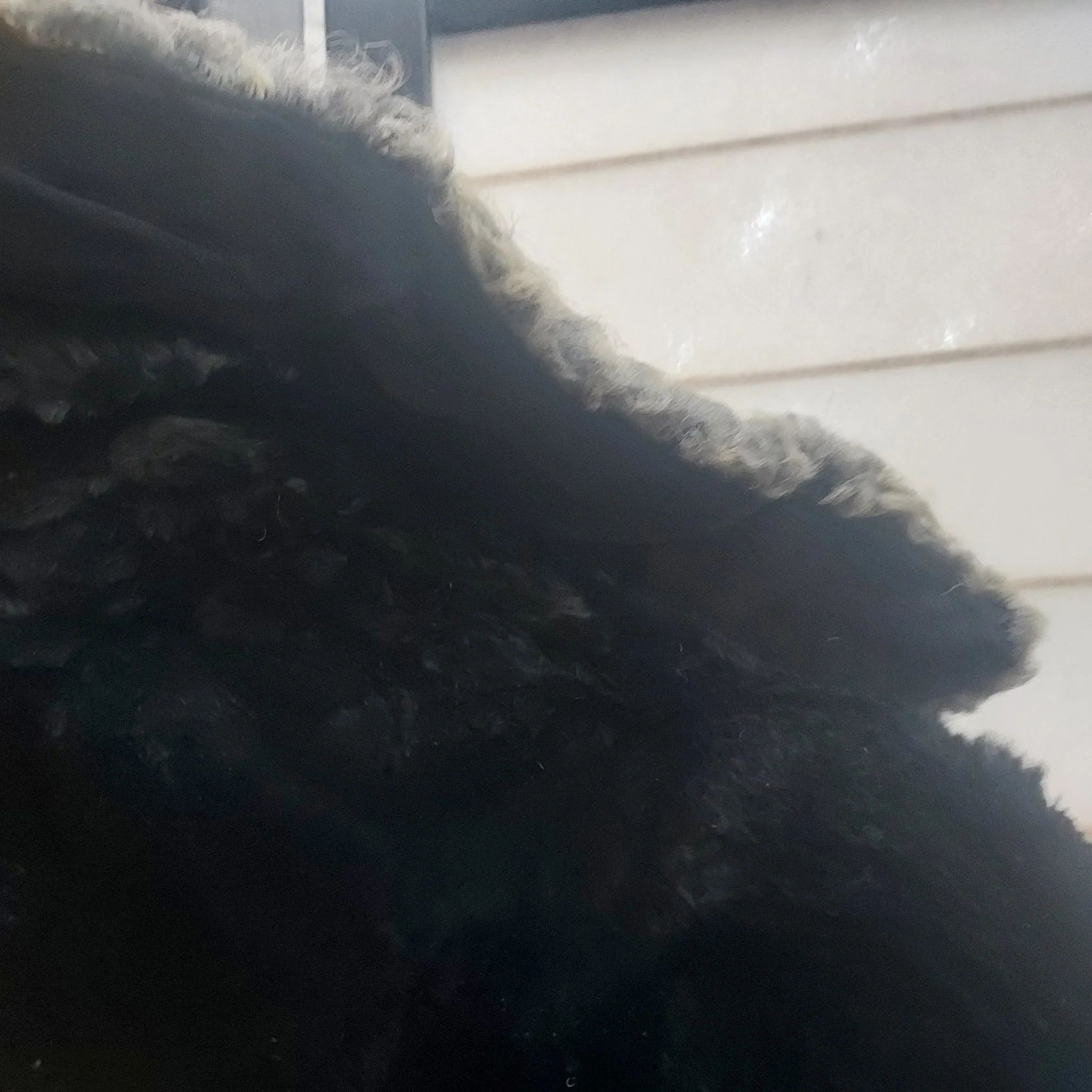 Black Fur & Mohair Coat - Image 13